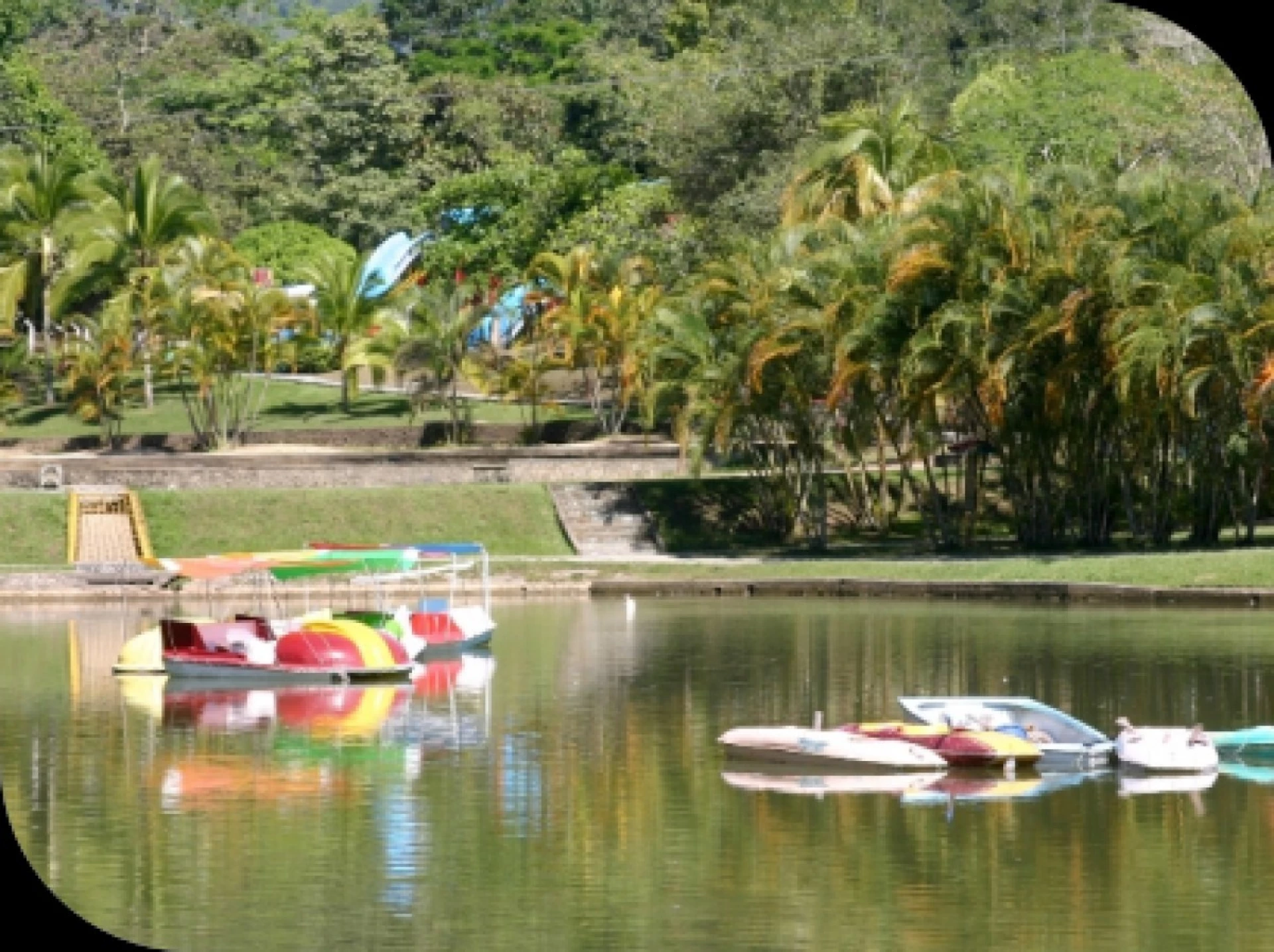 Lagos Club Comfatolima